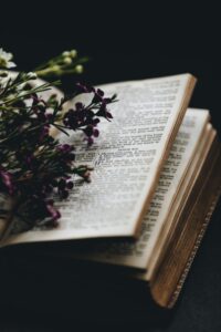 psalms-bible