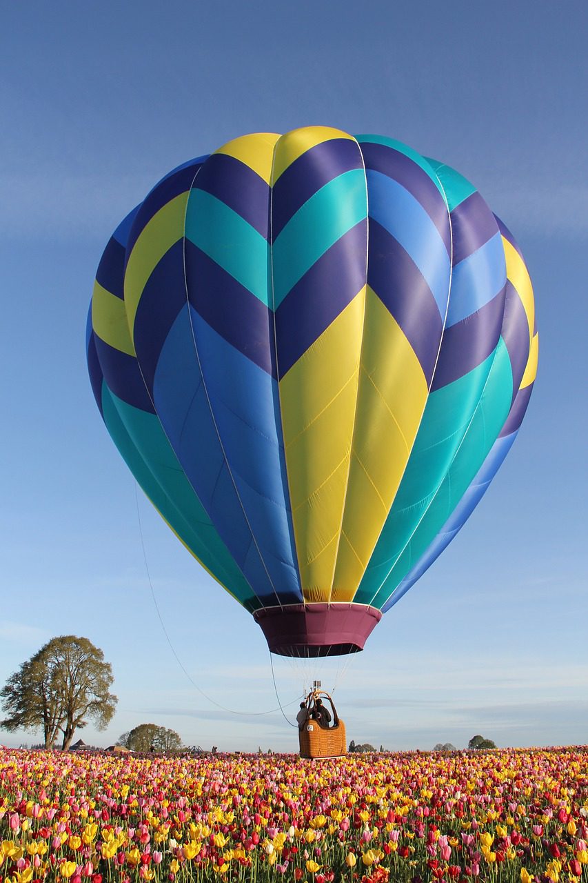 hot air balloon, tulips, nature-5641131.jpg