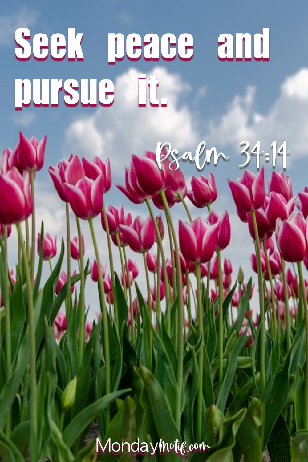 aesthetic-bible-verses-seek-peace-and-pursue-it