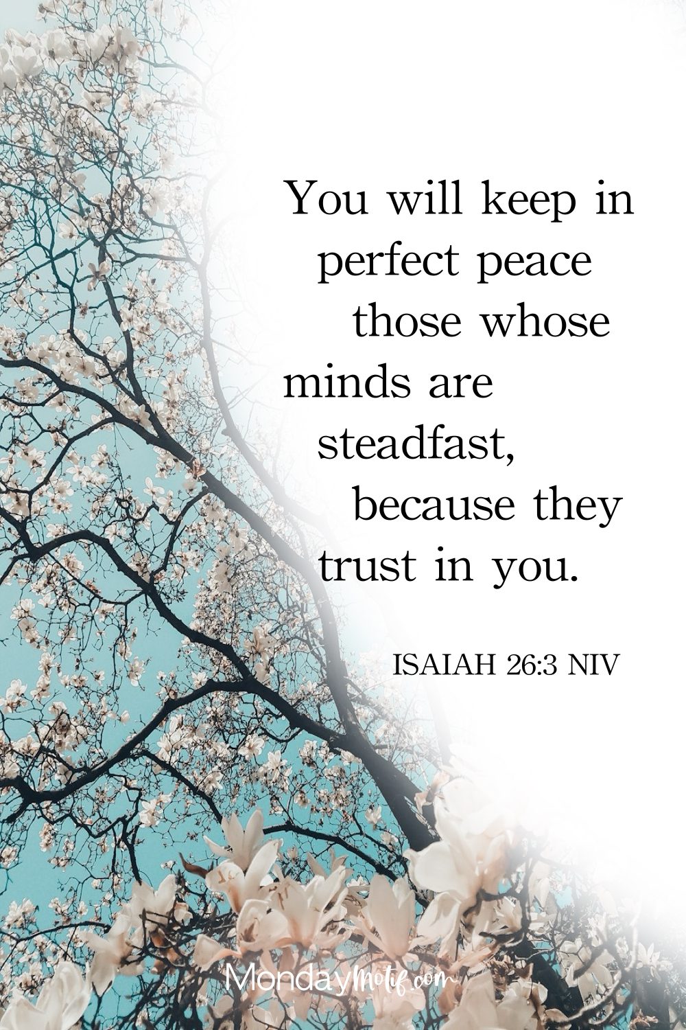 cherry-blossom-image-with-bible-verse-on-peace-overlay