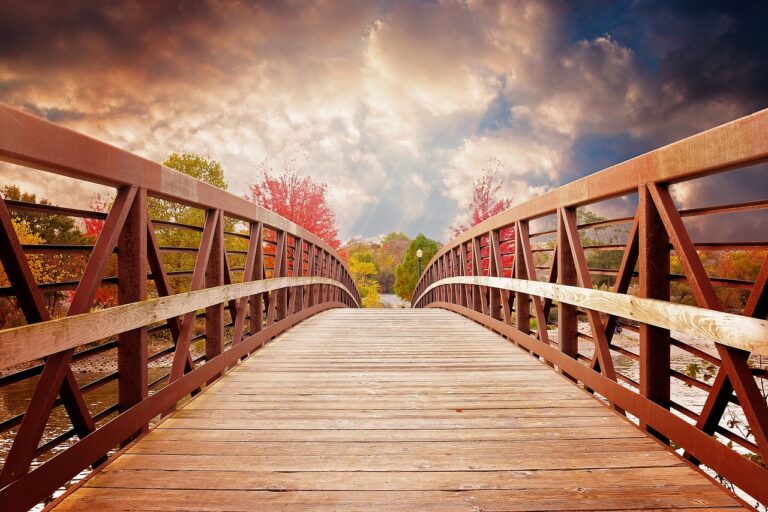 bridge, nature, fall, river, evening, scenic, autumn, colors, wooden, beautiful, nature wallpaper, brown nature, brown beauty, brown wallpaper, brown river, brown bridge, brown color, brown natural, bridge, bridge, bridge, bridge, bridge, fall, autumn