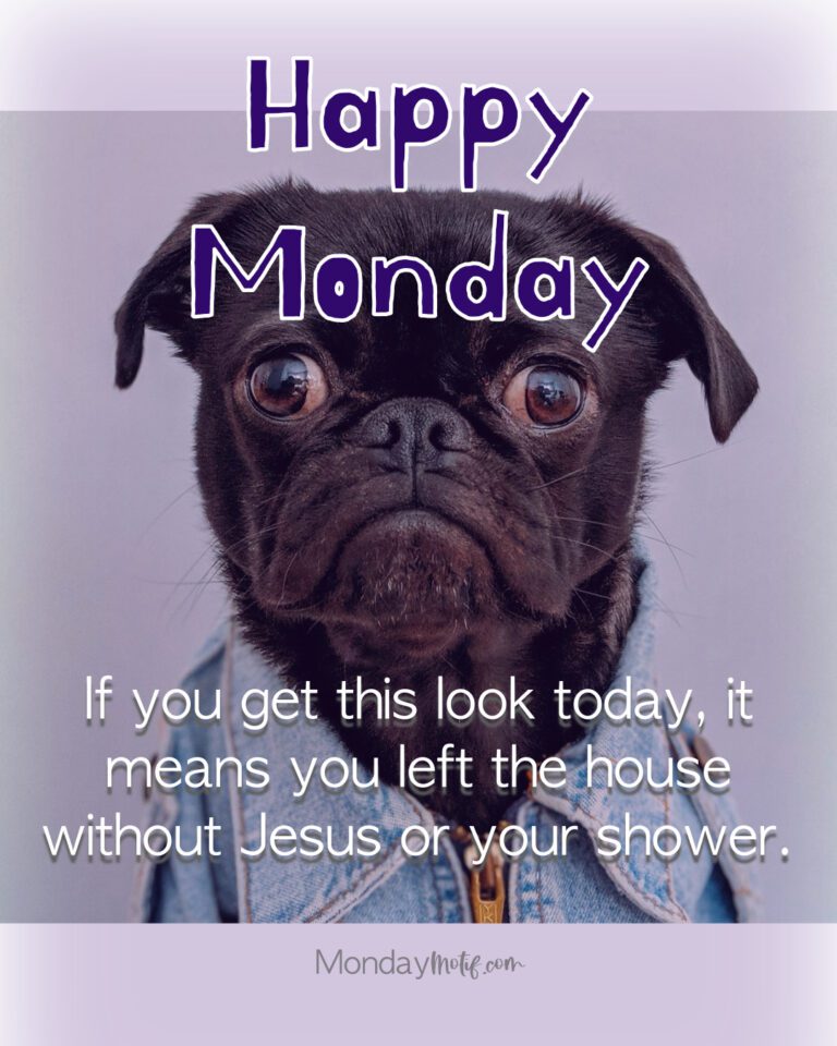 a mutt with big eyes that looks shocked for a funny Monday quote with faith based overlayed text