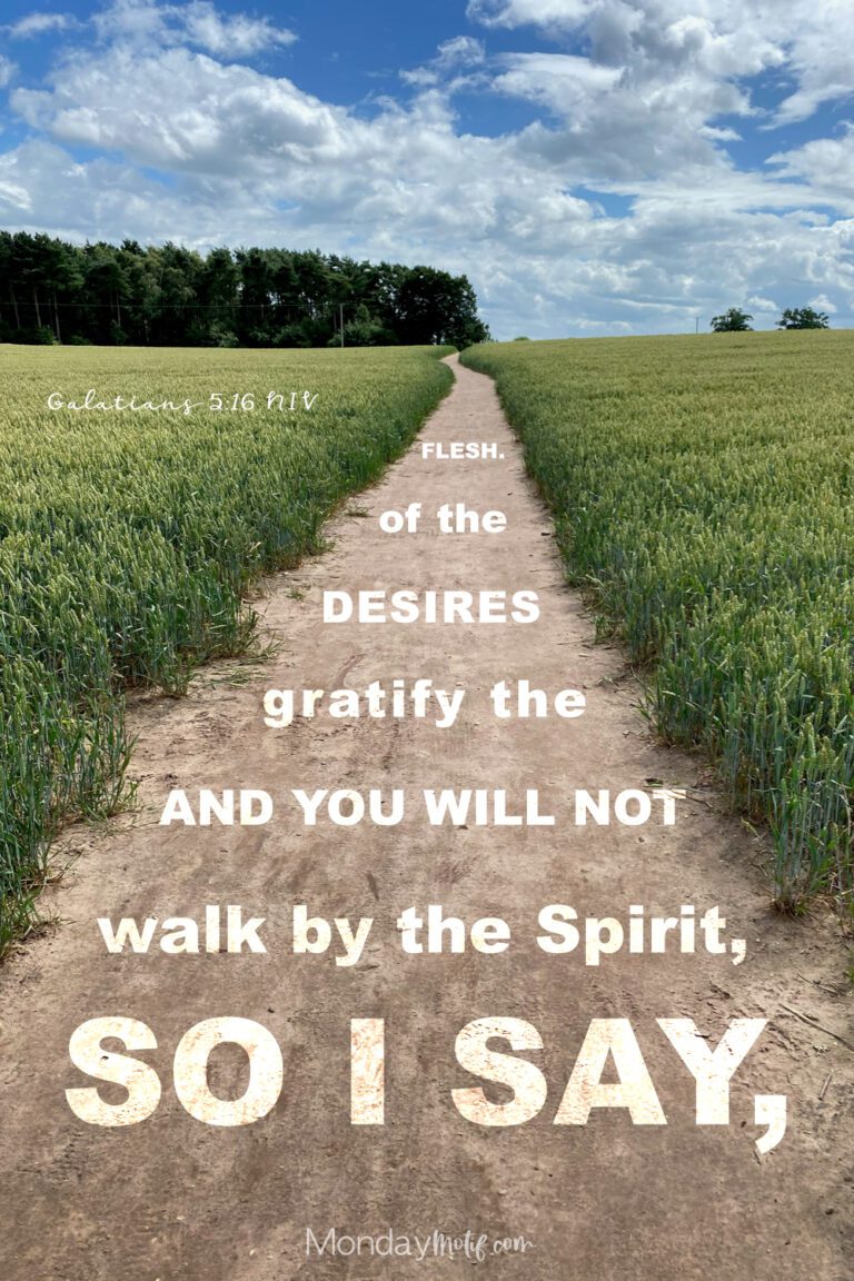 walking with God - Bible verse - Galatians 5 16