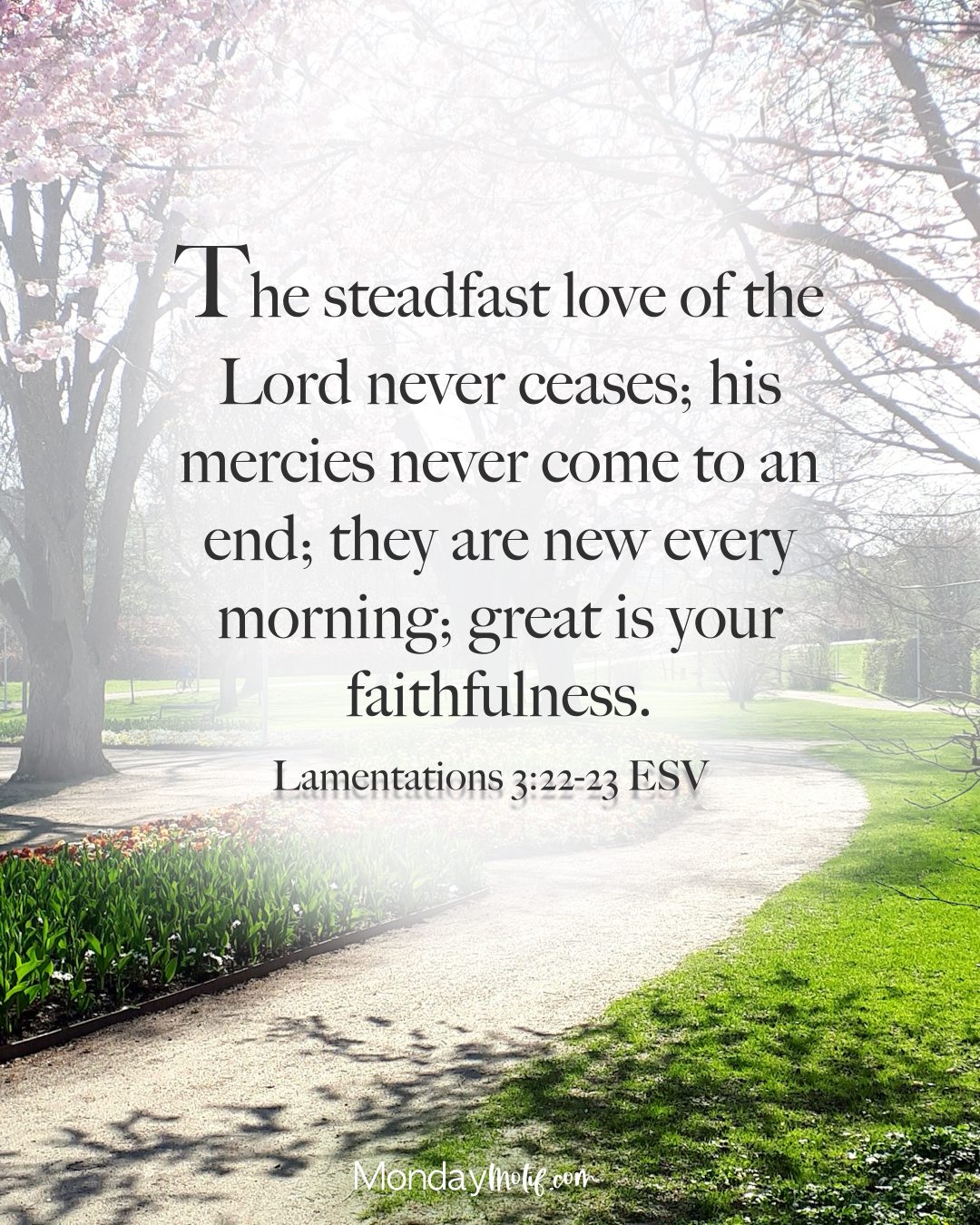 Lamentations 3:22-23 bible verse with nature image